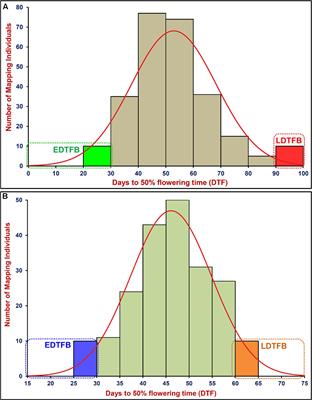 A Multiple QTL-Seq Strategy Delineates Potential Genomic Loci Governing Flowering Time in Chickpea